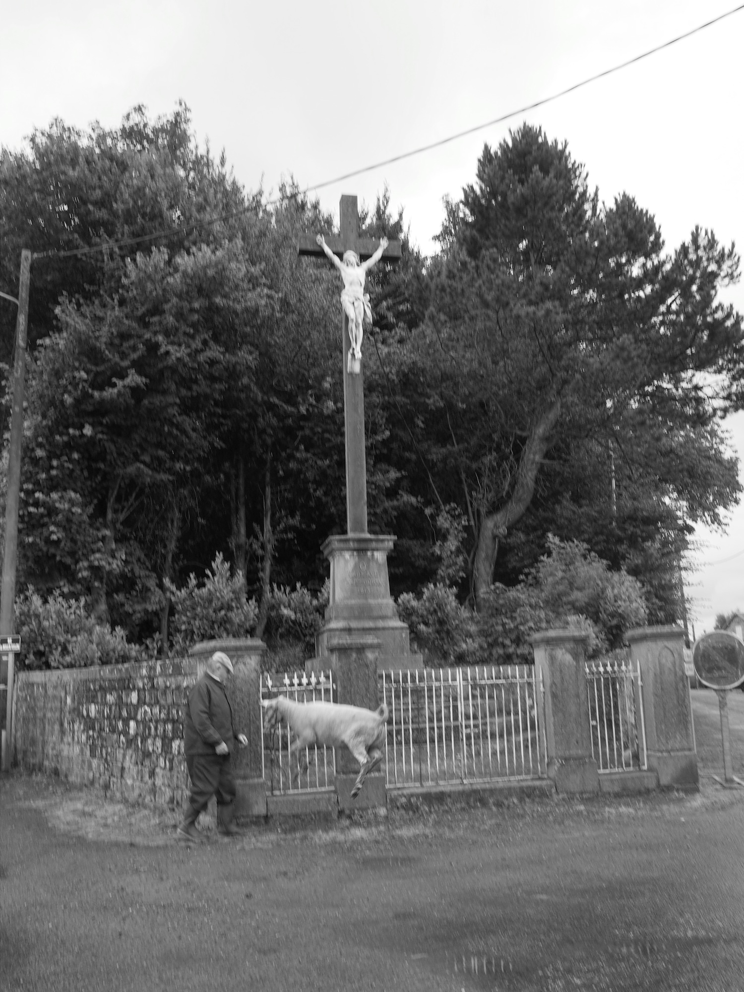 Foires aux bestiaux dans la Manche (2)