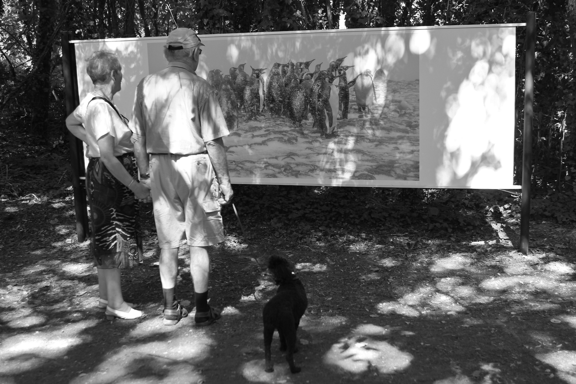 Festival photo La Gacilly