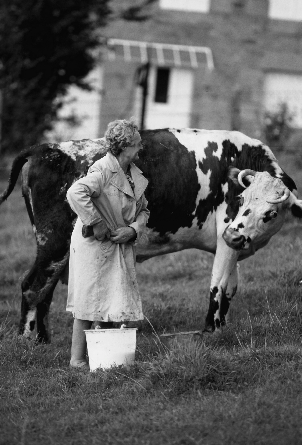 Une dame et sa vache