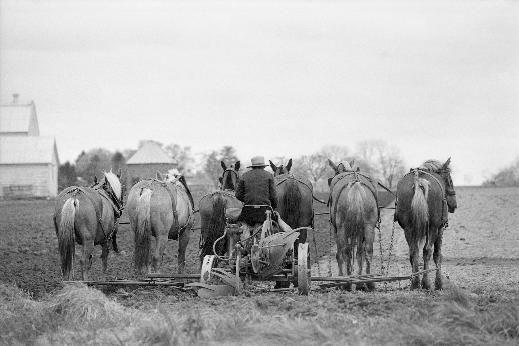 Paysannerie Amish, Canada