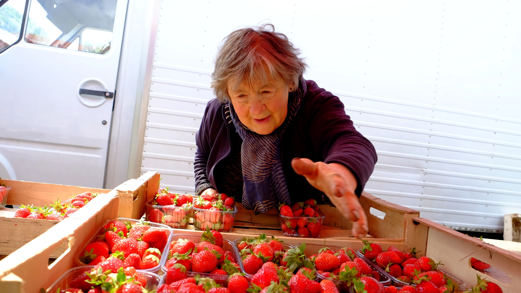 Des fraises sur le marché