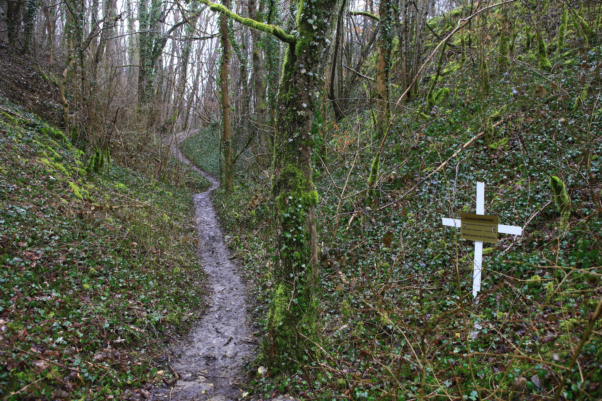 Paysages de Verdun (4)