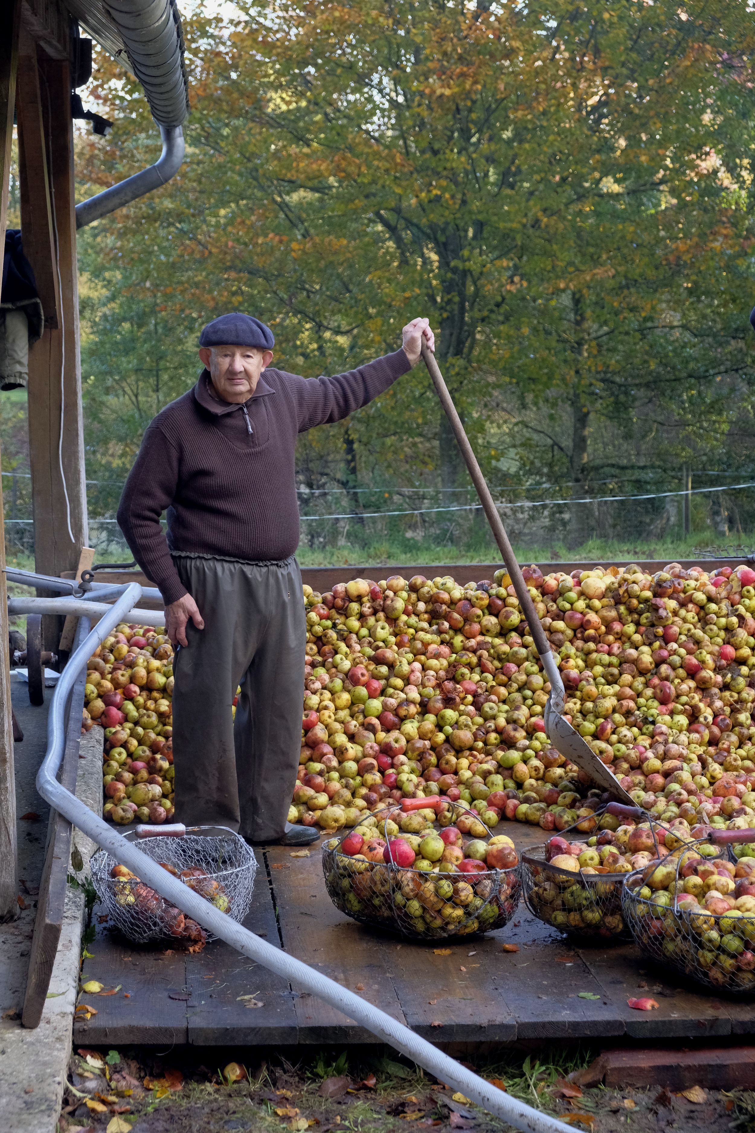 Pilaison de pommes traditionnelle